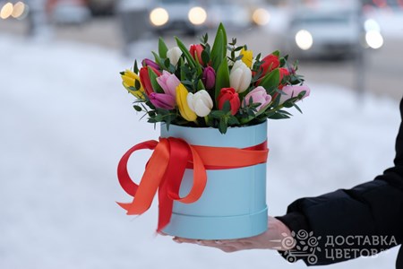 25 разноцветных тюльпанов в коробке "Лучший город"